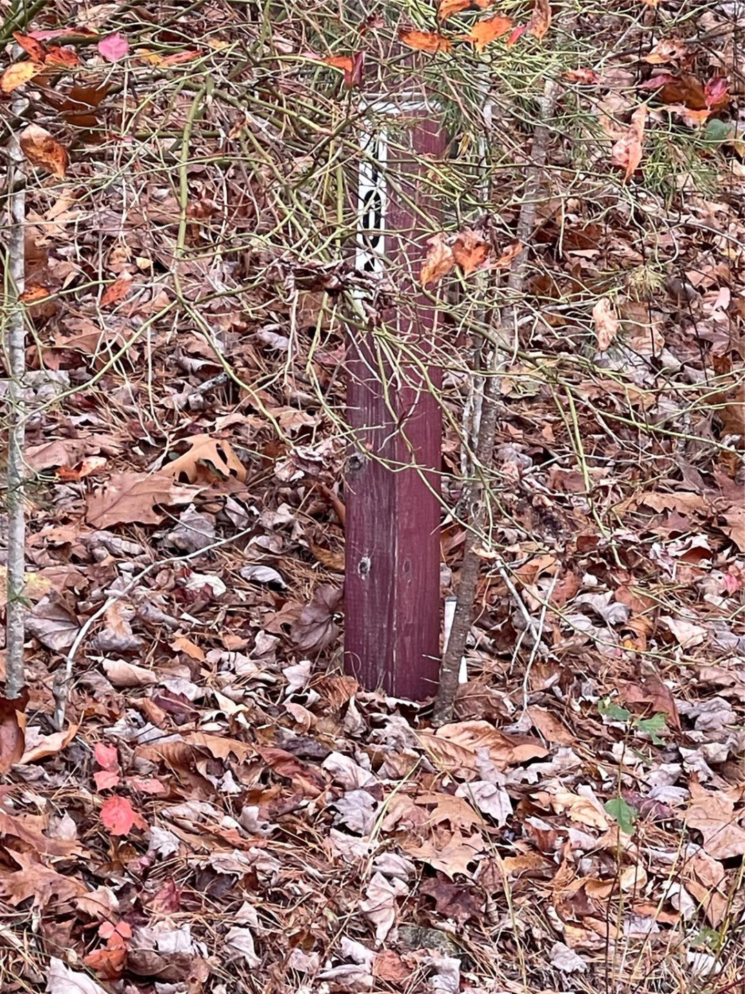 00 Pinnacle Falls Lane - Photo 3