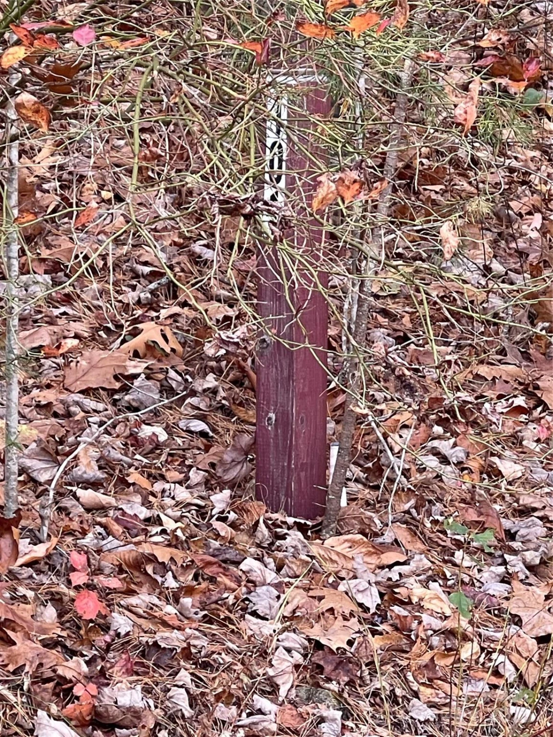 00 Pinnacle Falls Lane - Photo 3
