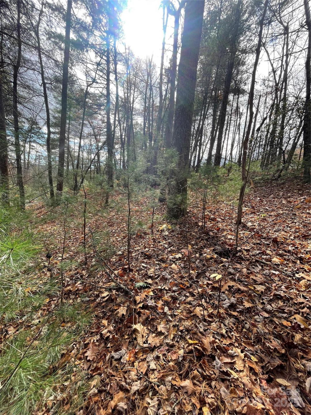 00 Pinnacle Falls Lane - Photo 4