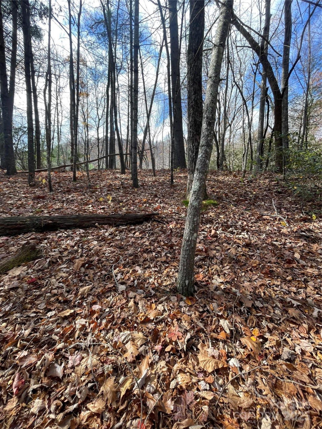 00 Pinnacle Falls Lane - Photo 7