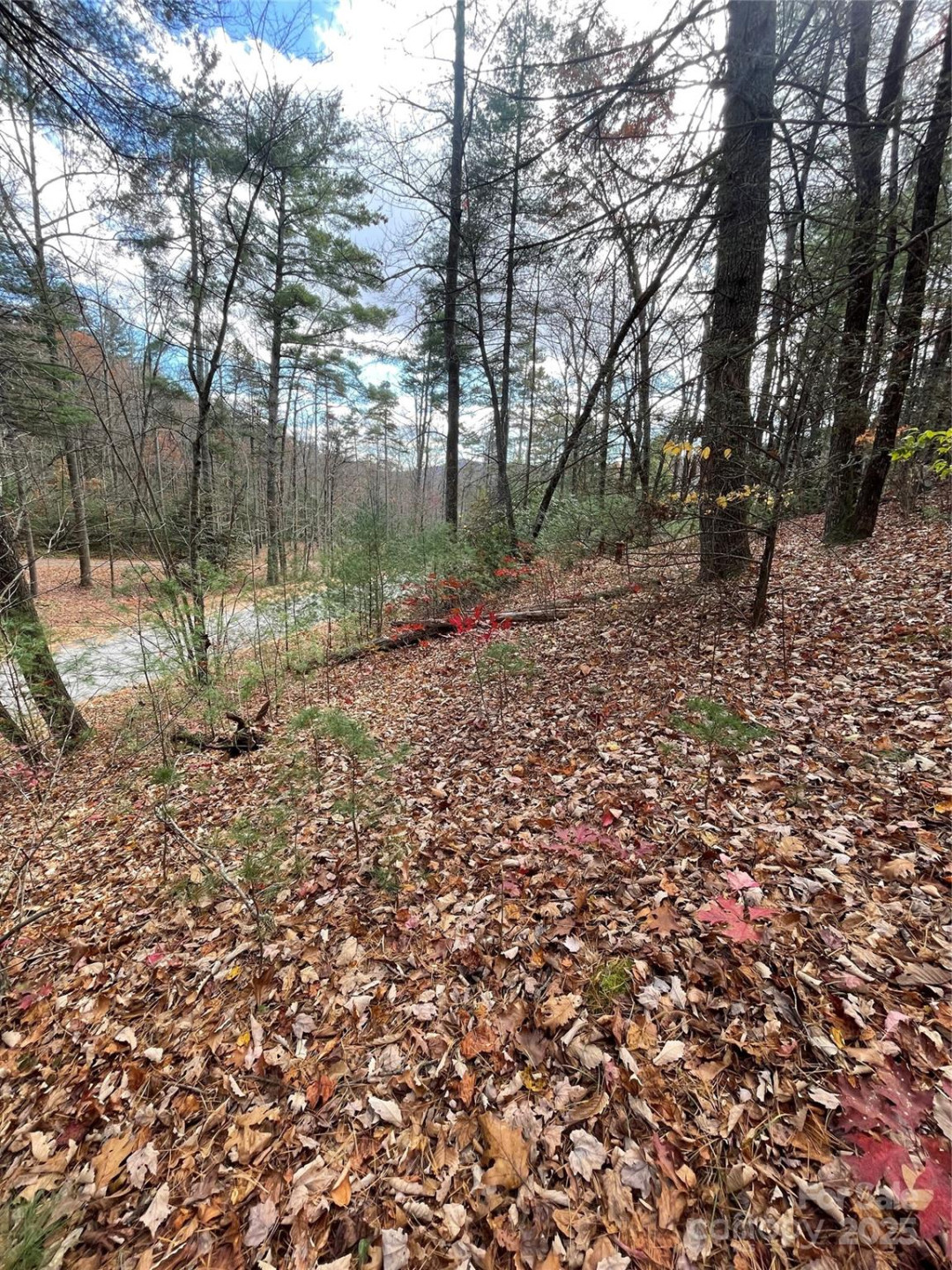 00 Pinnacle Falls Lane - Photo 8