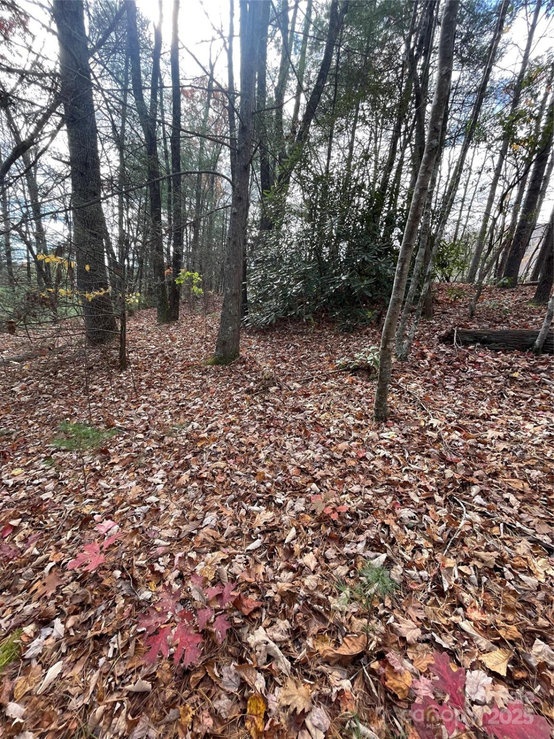 00 Pinnacle Falls Lane - Photo 9