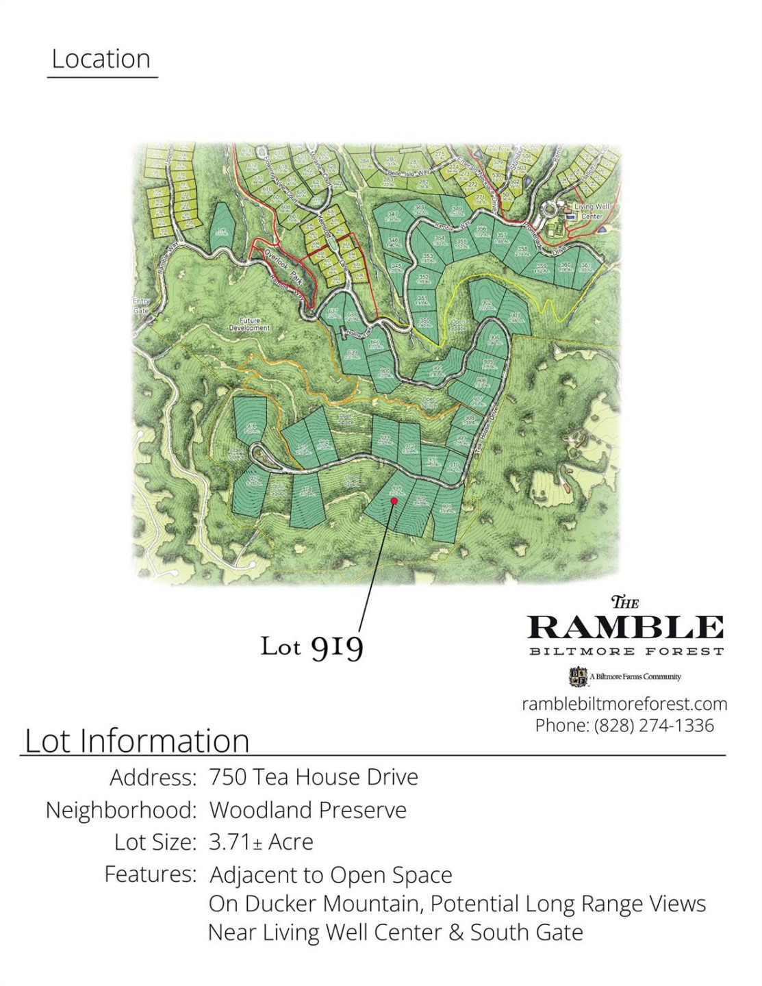 750 Tea House Drive #919 - Photo 2