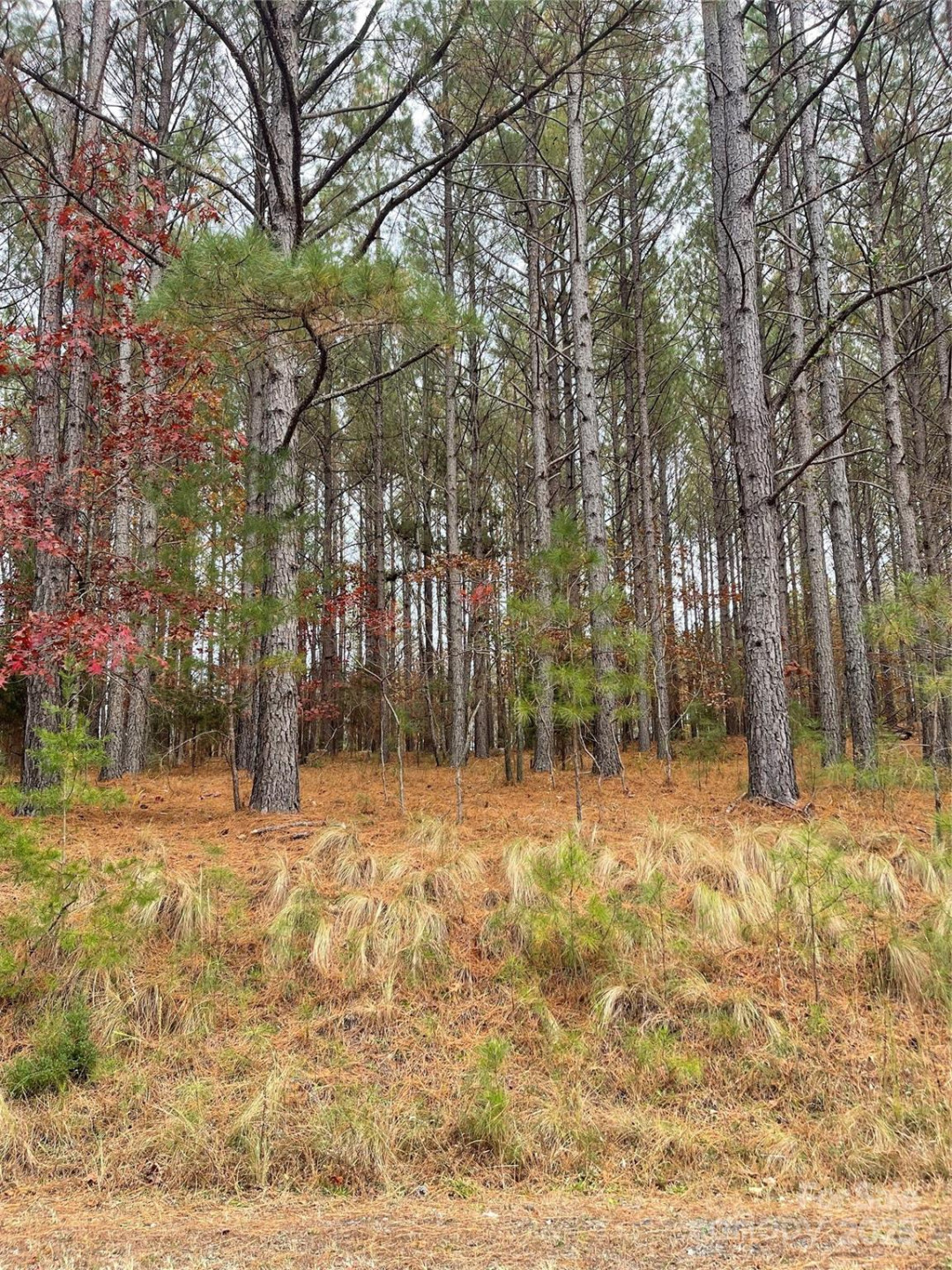 0 Cross Creek Drive - Photo 2