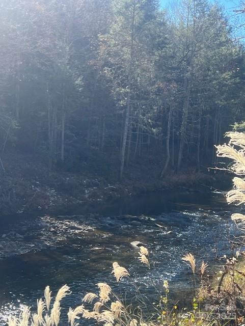 TBD Bend View Drive - Photo 5