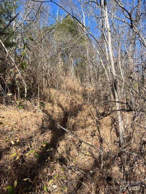 TBD Bend View Drive - Photo 8