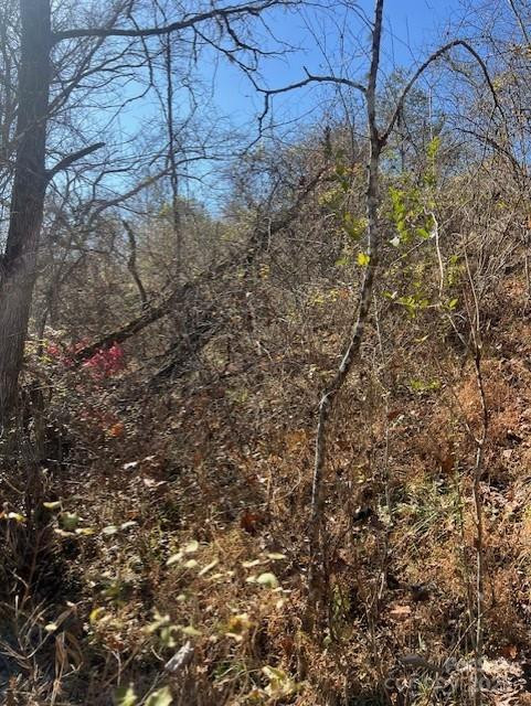 TBD Bend View Drive - Photo 9