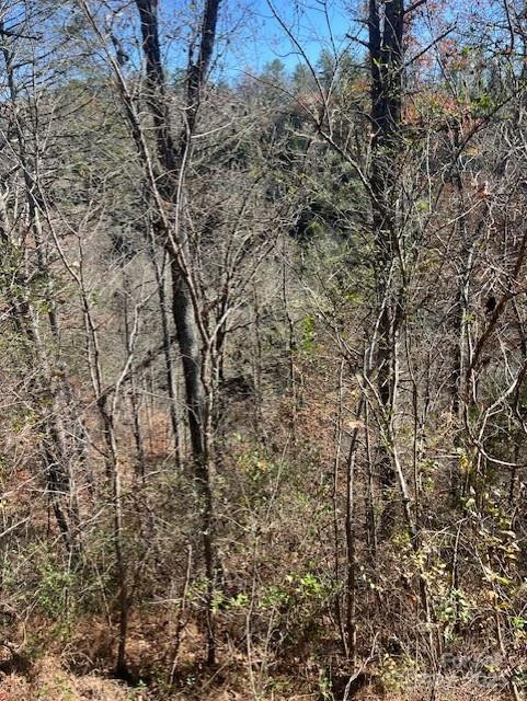 TBD Bend View Drive - Photo 10