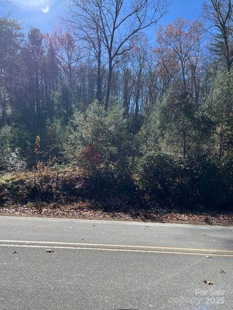 TBD Kitchen Loop Road - Photo 2