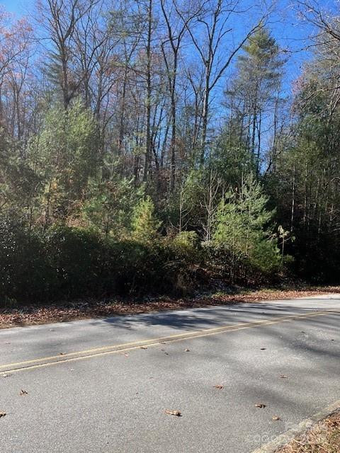 TBD Kitchen Loop Road - Photo 3