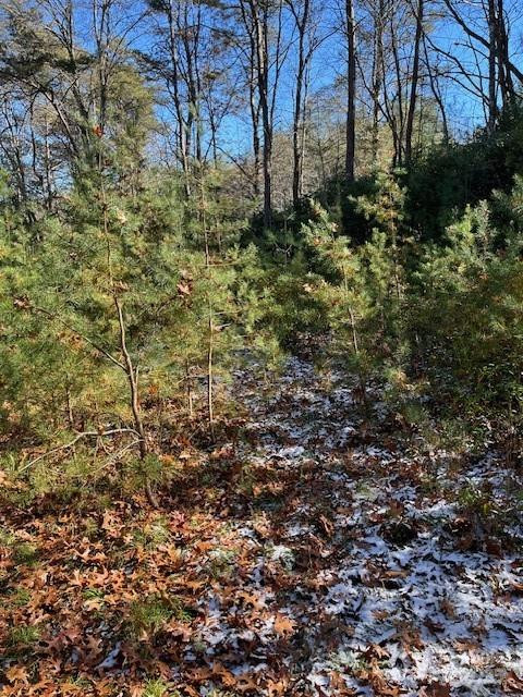 TBD Kitchen Loop Road - Photo 4