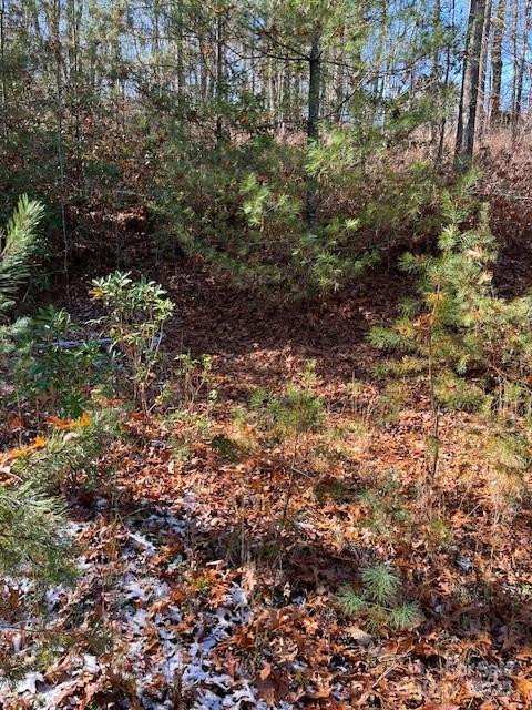 TBD Kitchen Loop Road - Photo 5