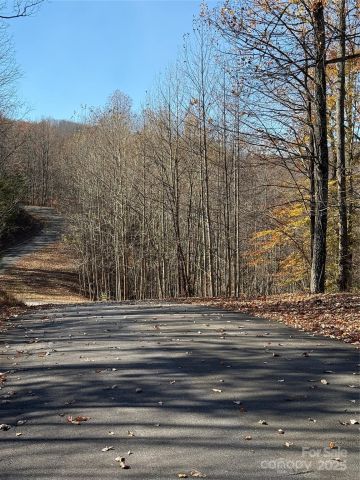 V/L Lot 72 & 170 Black Lark Drive