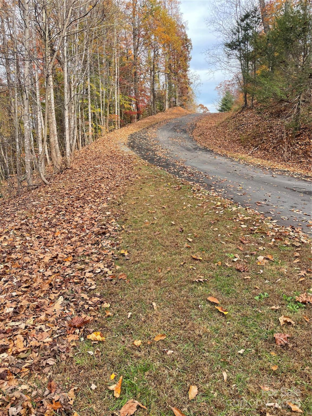 V/L Lot 72 & 170 Black Lark Drive - Photo 11