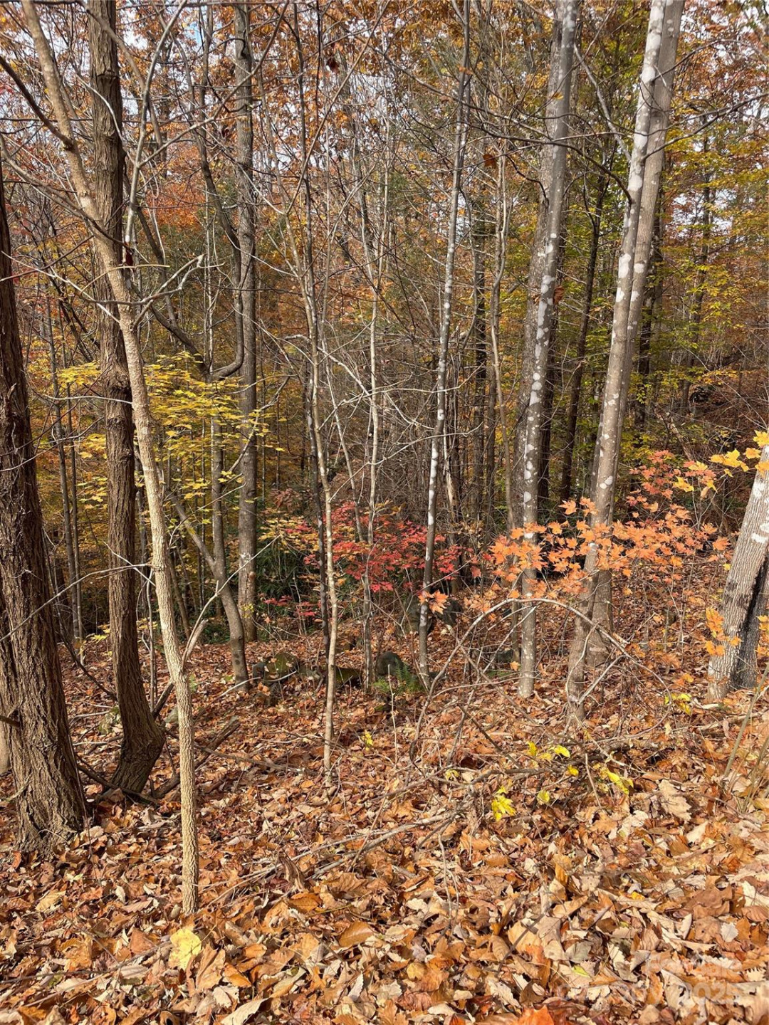 V/L Lot 72 & 170 Black Lark Drive - Photo 14