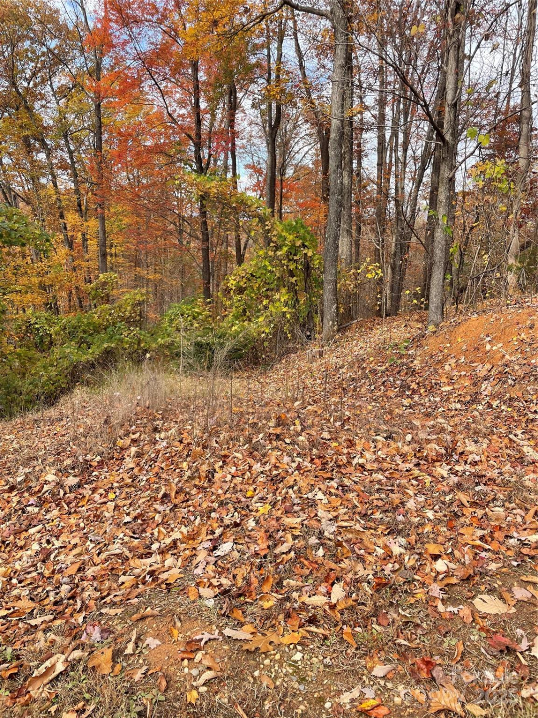 V/L Lot 72 & 170 Black Lark Drive - Photo 15