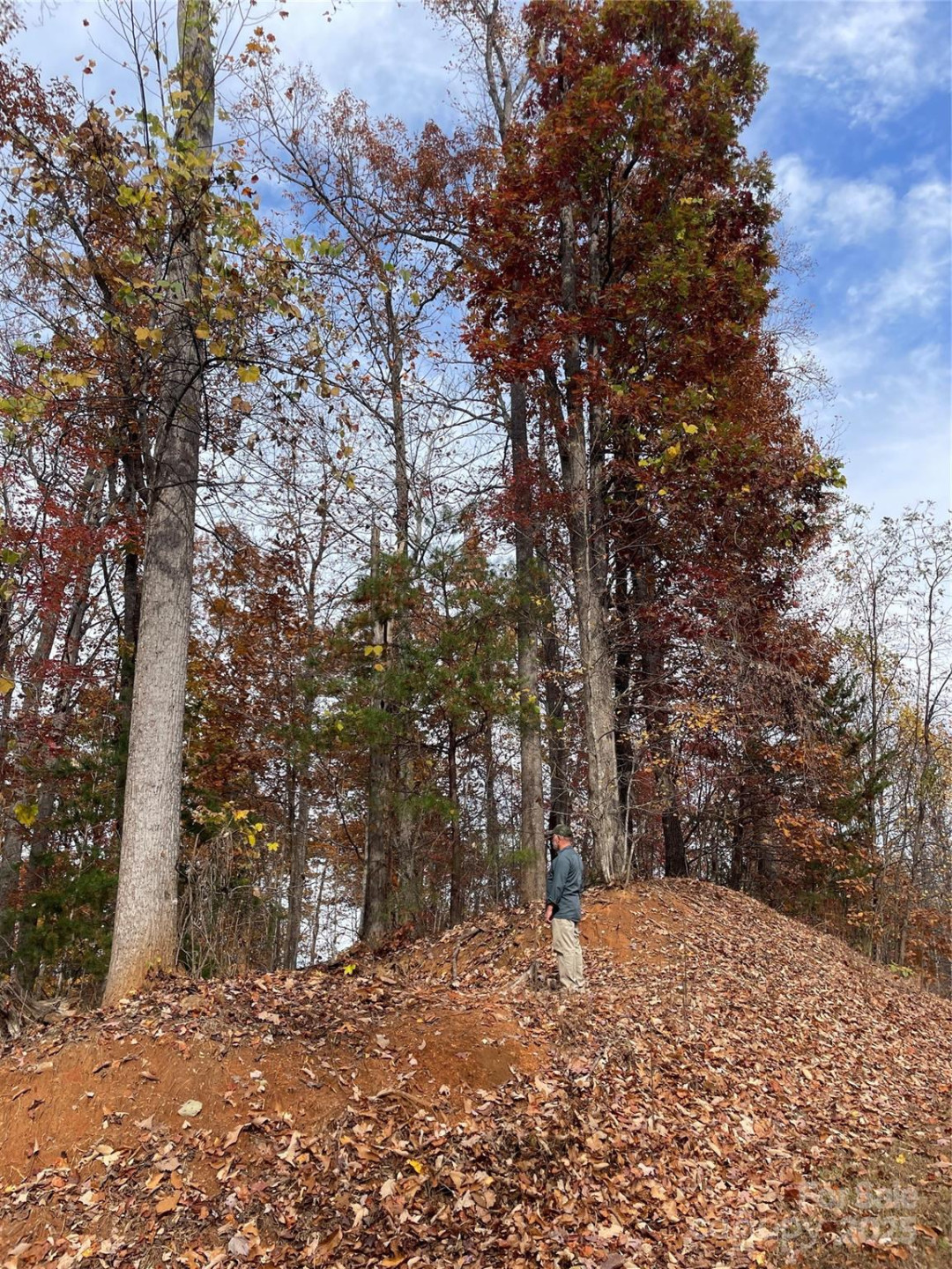 V/L Lot 72 & 170 Black Lark Drive - Photo 16