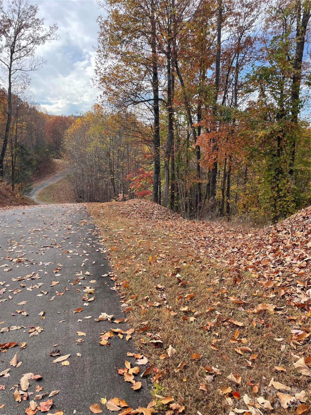 V/L Lot 72 & 170 Black Lark Drive - Photo 17