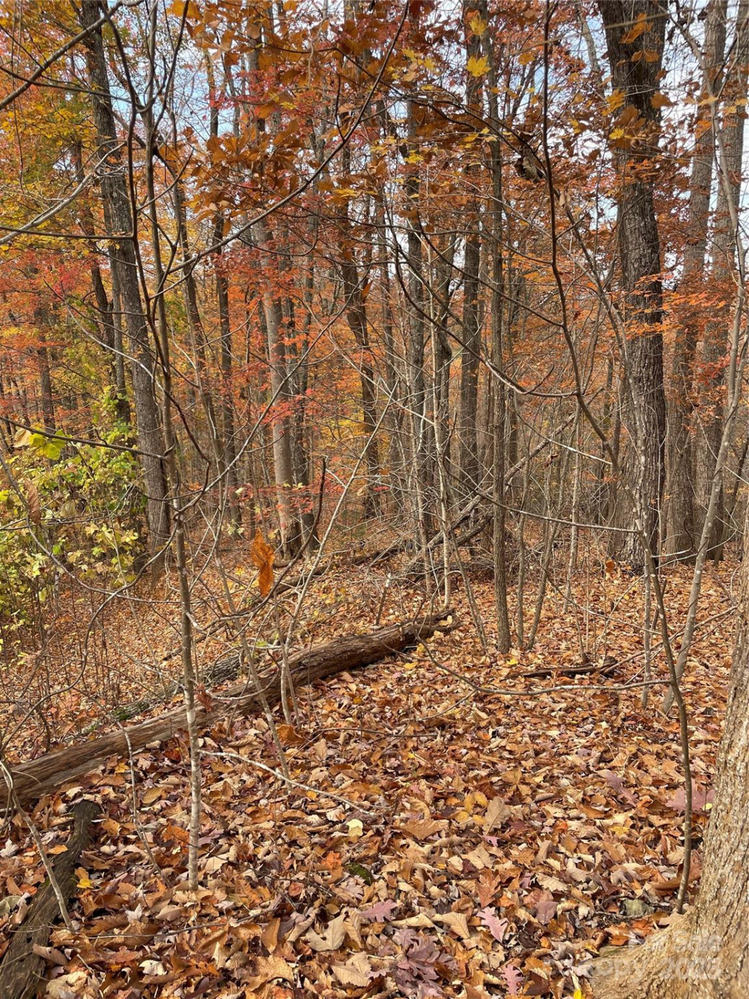 V/L Lot 72 & 170 Black Lark Drive - Photo 18