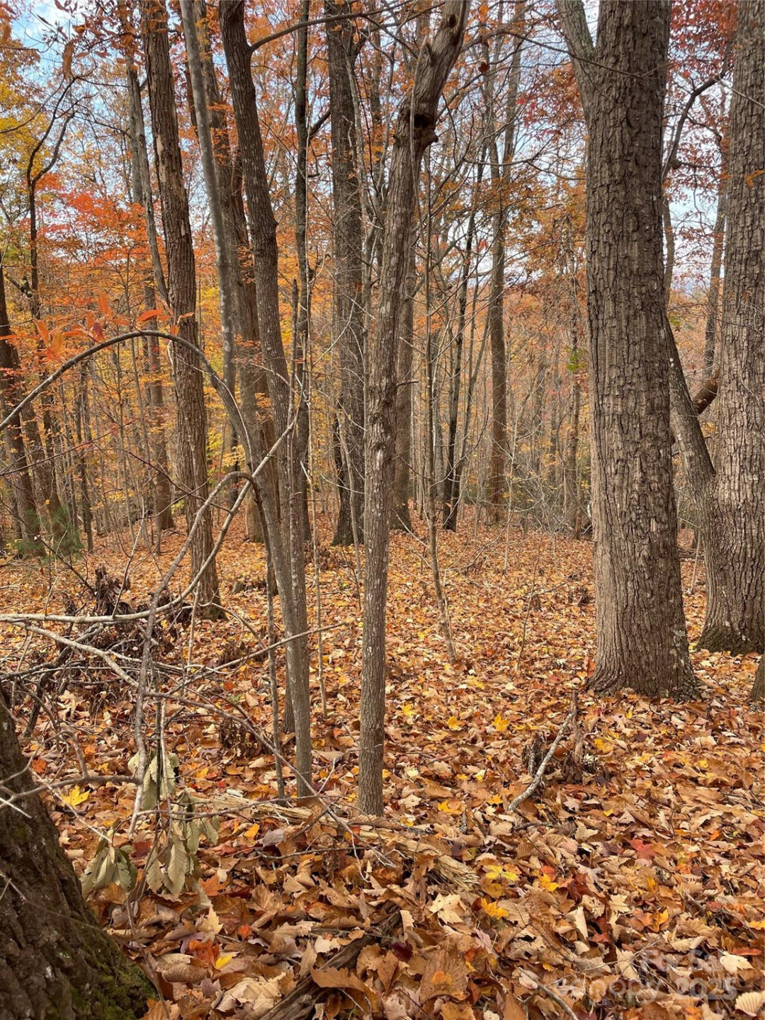 V/L Lot 72 & 170 Black Lark Drive - Photo 19