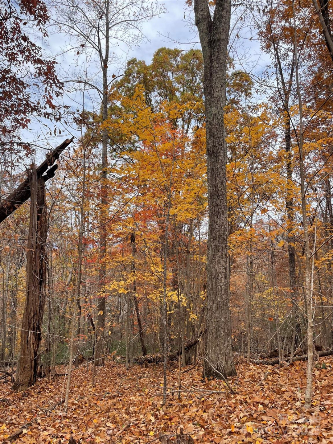 V/L Lot 72 & 170 Black Lark Drive - Photo 20