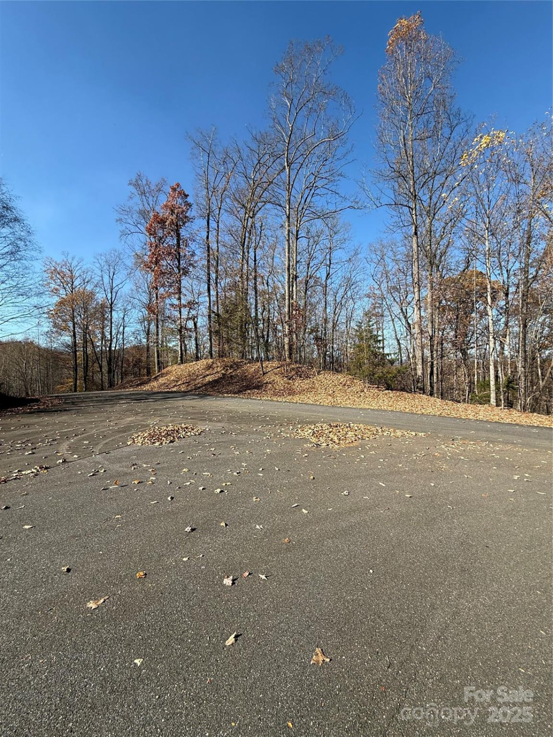 V/L Lot 72 & 170 Black Lark Drive - Photo 3