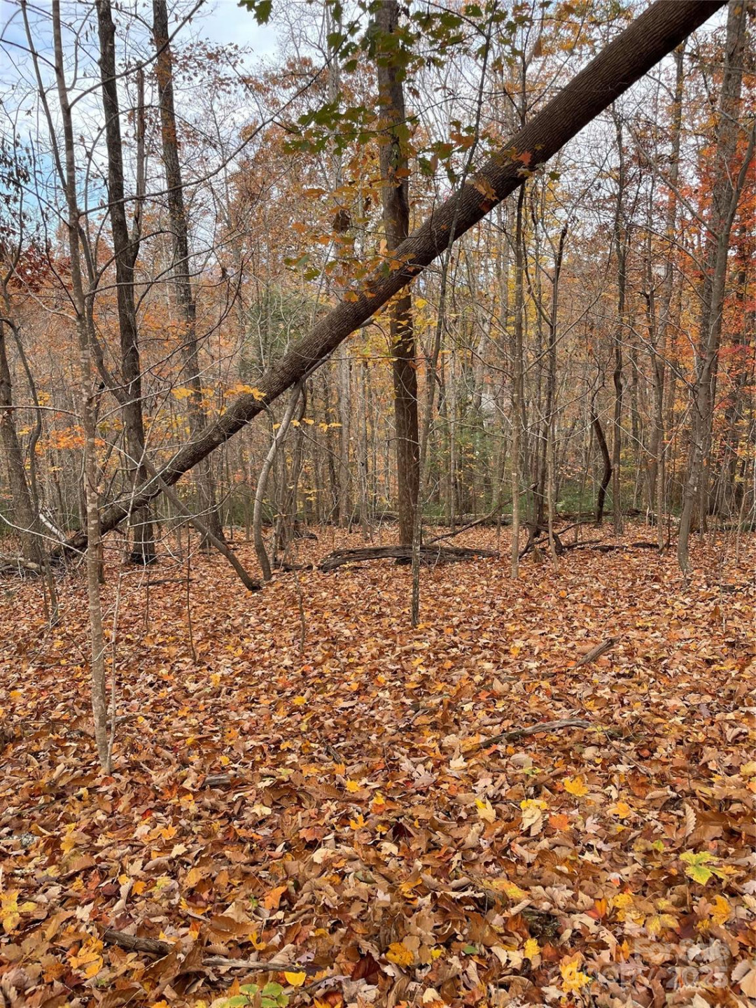 V/L Lot 72 & 170 Black Lark Drive - Photo 21