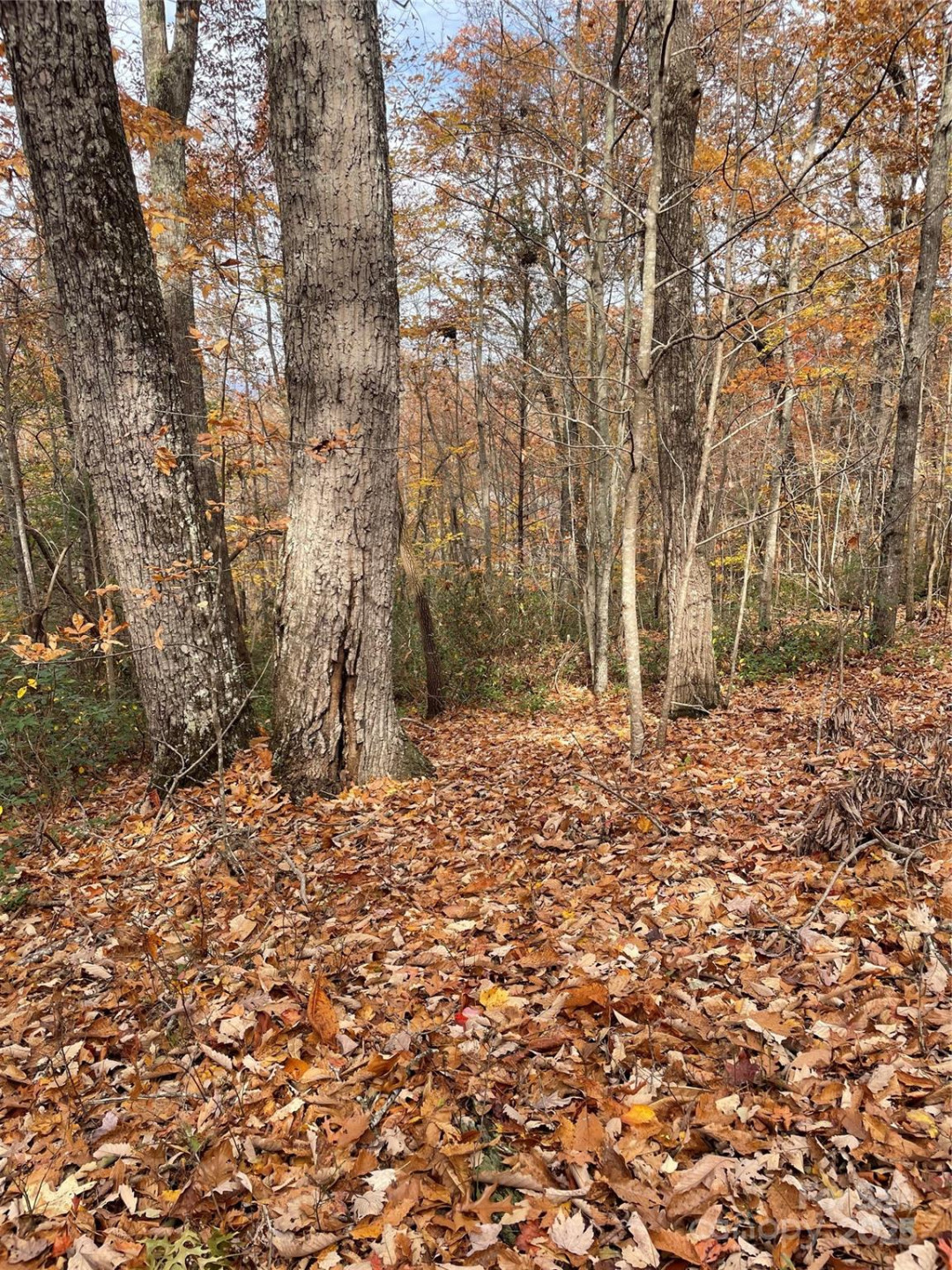 V/L Lot 72 & 170 Black Lark Drive - Photo 22