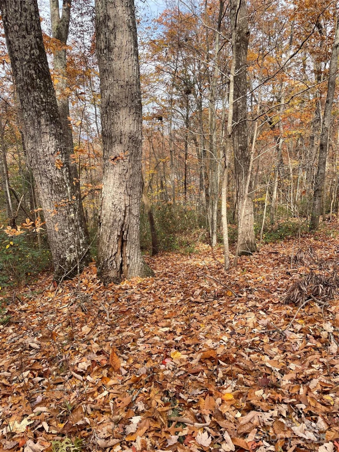 V/L Lot 72 & 170 Black Lark Drive - Photo 22