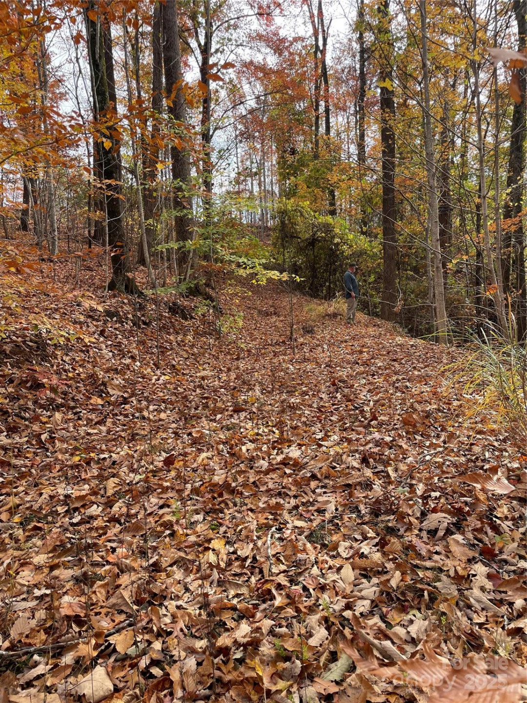 V/L Lot 72 & 170 Black Lark Drive - Photo 23