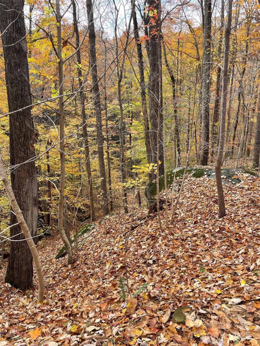 V/L Lot 72 & 170 Black Lark Drive - Photo 24