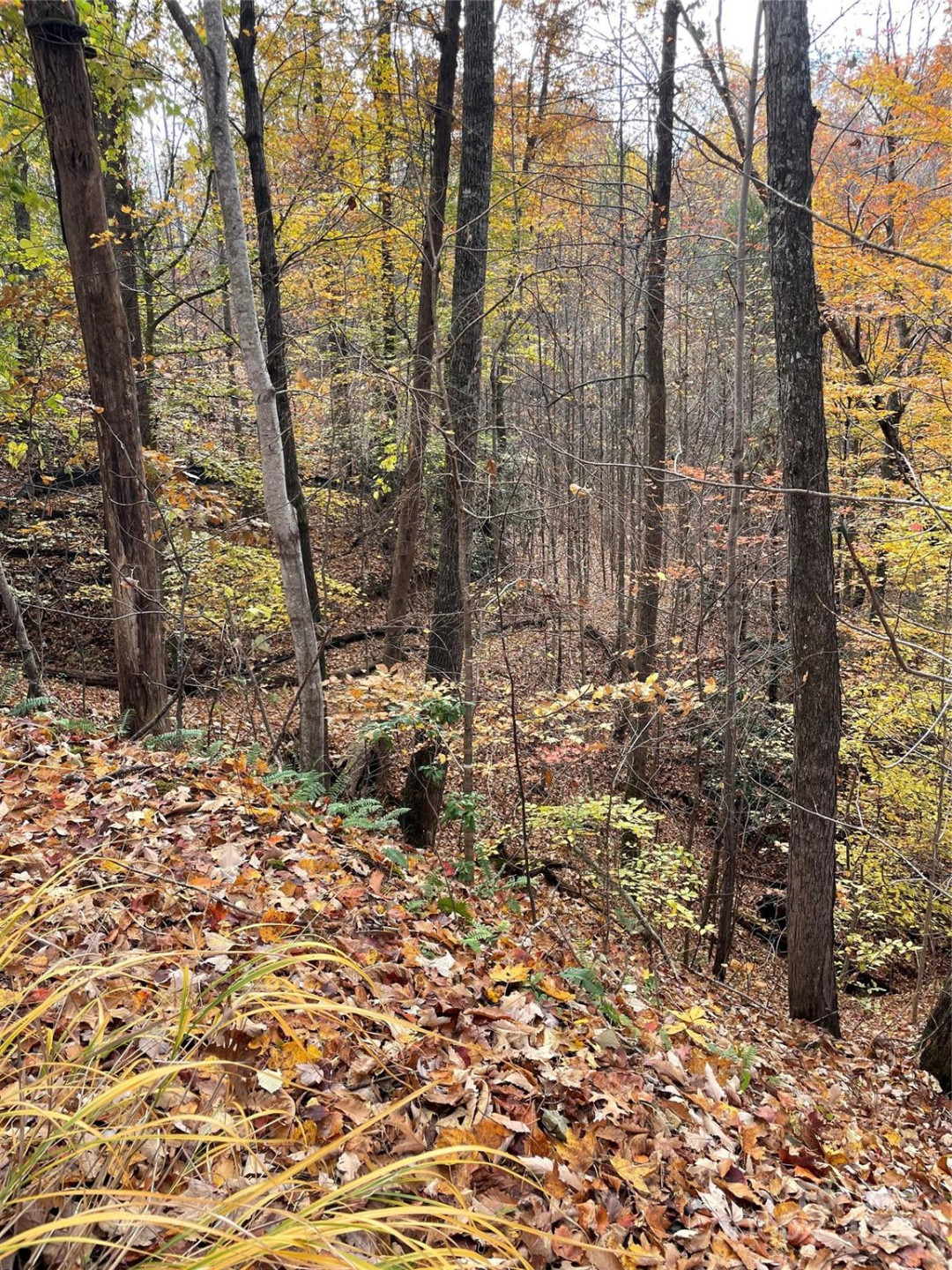 V/L Lot 72 & 170 Black Lark Drive - Photo 25