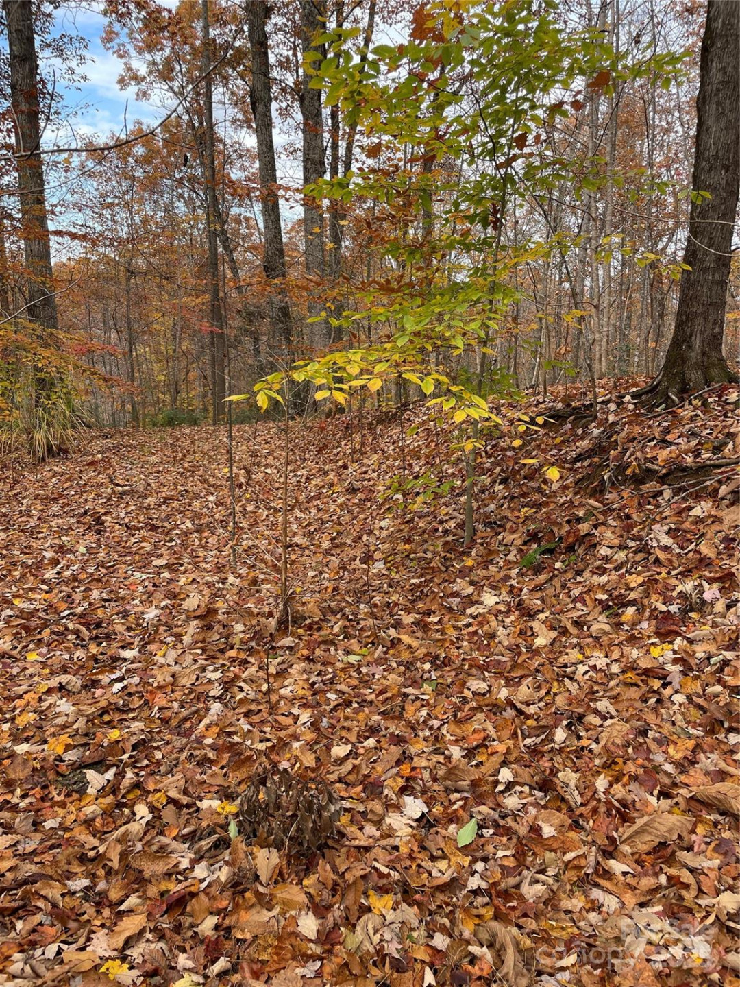 V/L Lot 72 & 170 Black Lark Drive - Photo 26