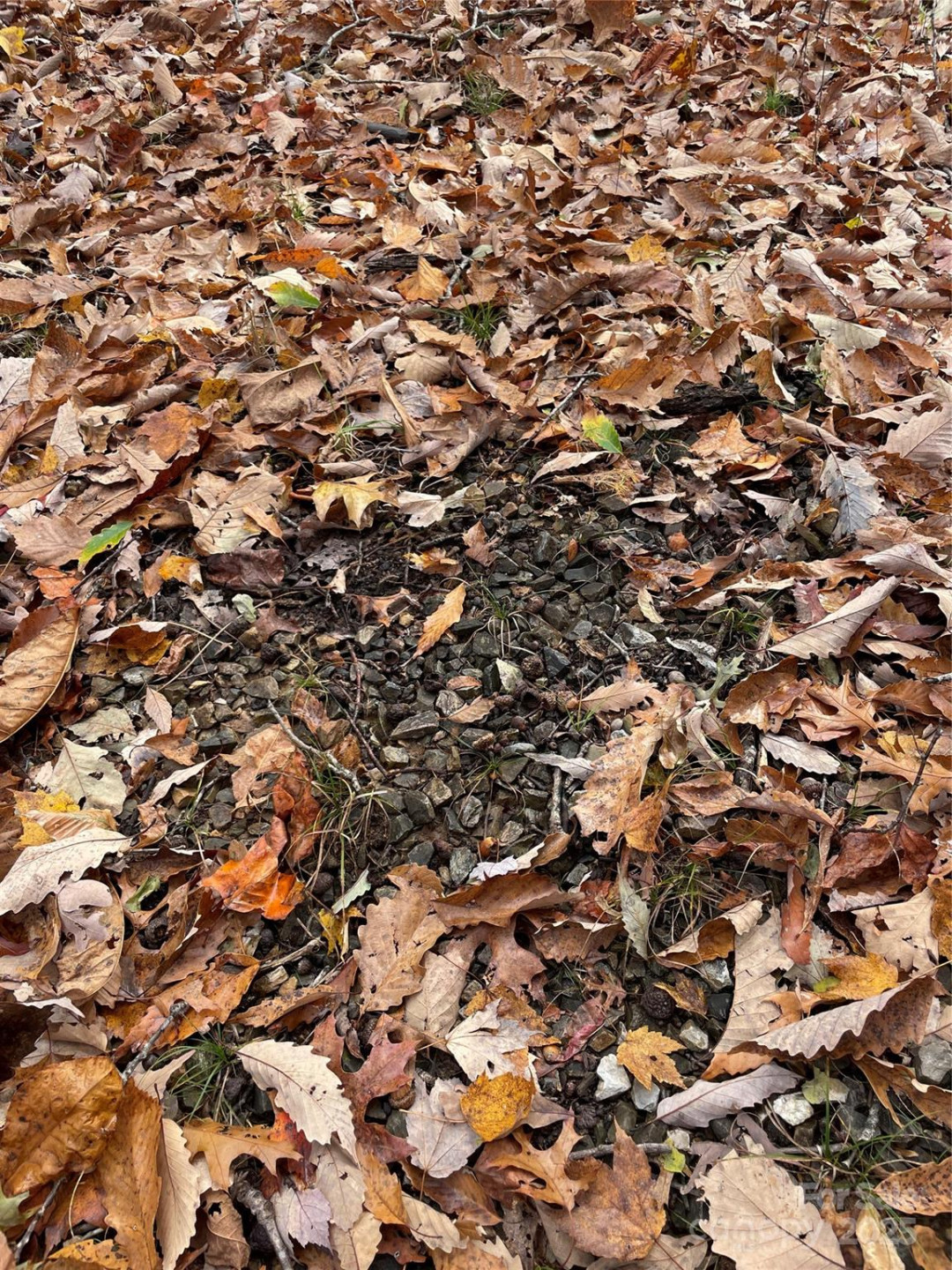 V/L Lot 72 & 170 Black Lark Drive - Photo 28