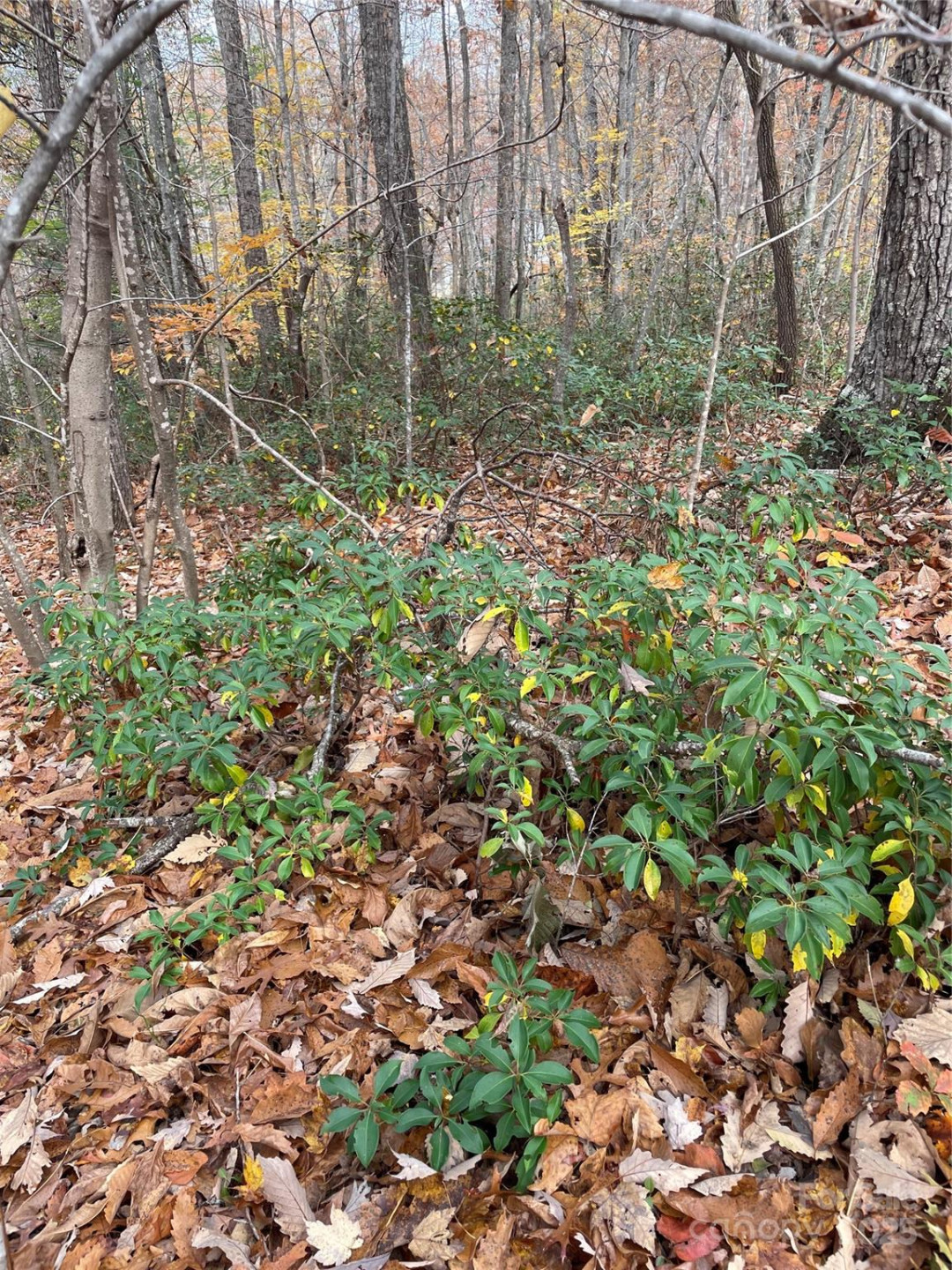 V/L Lot 72 & 170 Black Lark Drive - Photo 29