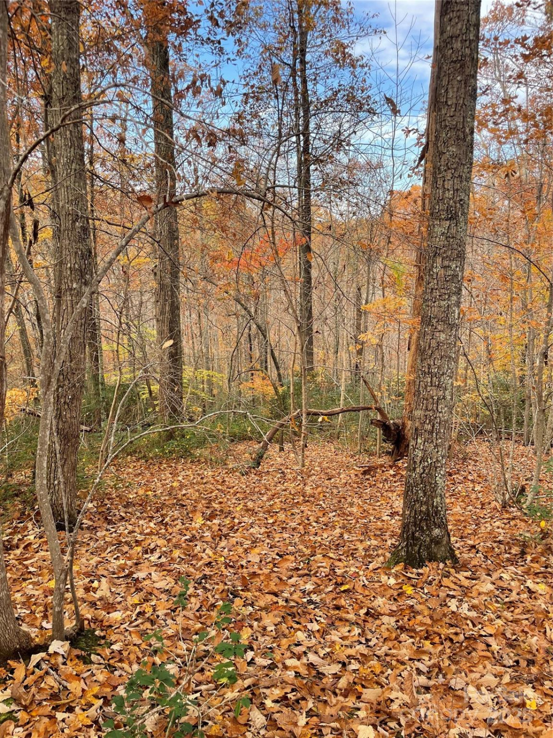 V/L Lot 72 & 170 Black Lark Drive - Photo 30