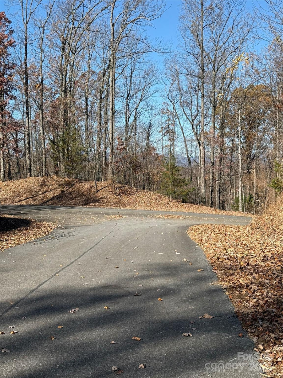 V/L Lot 72 & 170 Black Lark Drive - Photo 4