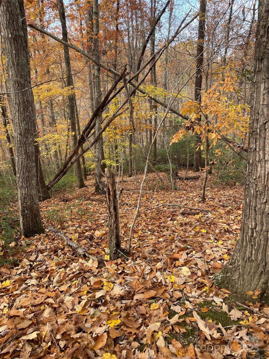 V/L Lot 72 & 170 Black Lark Drive - Photo 31