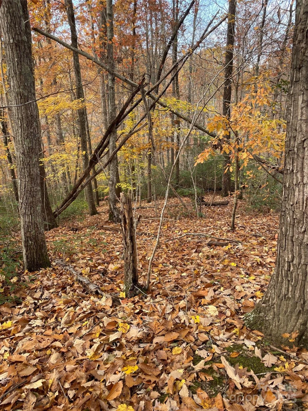V/L Lot 72 & 170 Black Lark Drive - Photo 31
