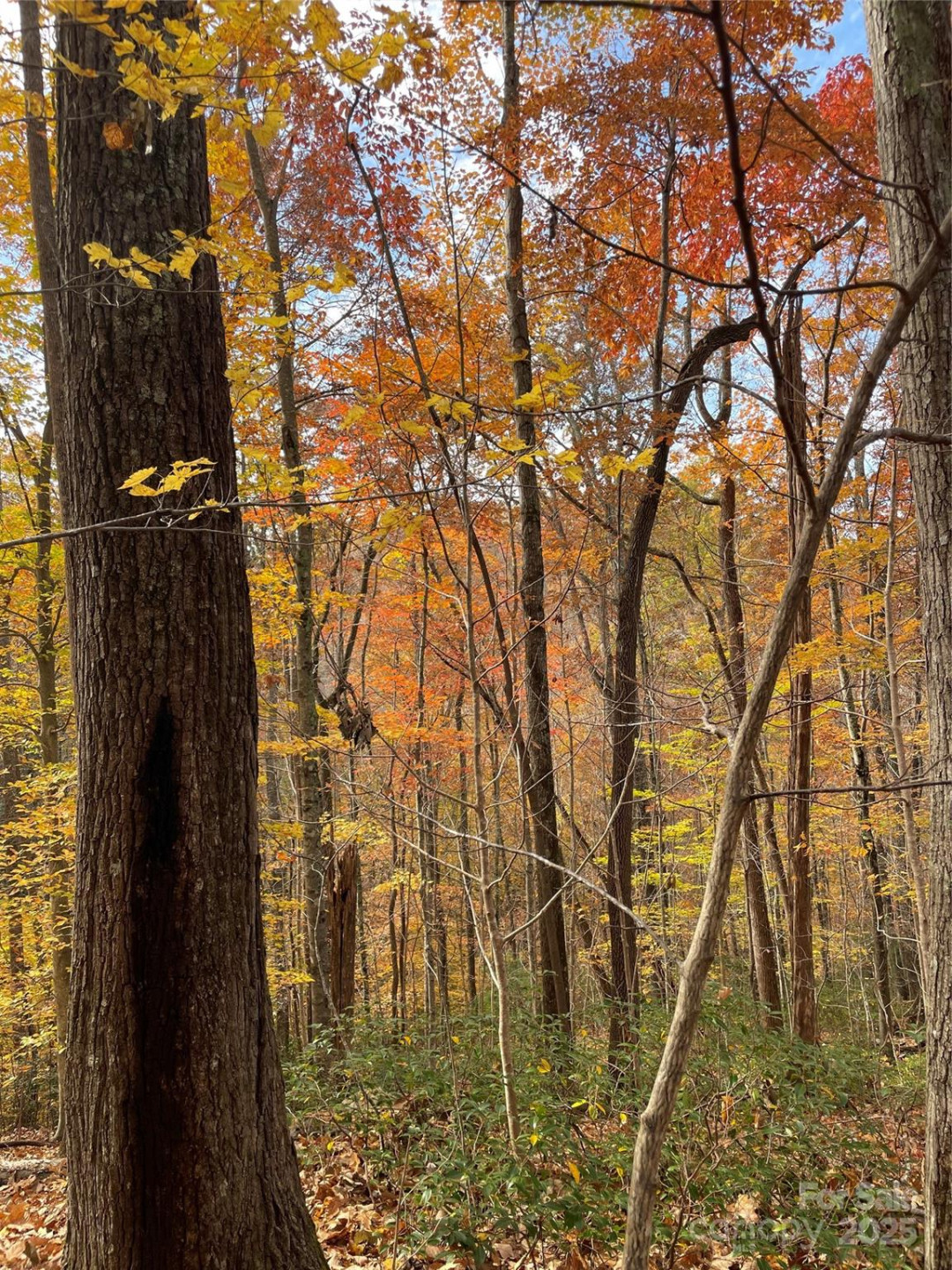 V/L Lot 72 & 170 Black Lark Drive - Photo 32