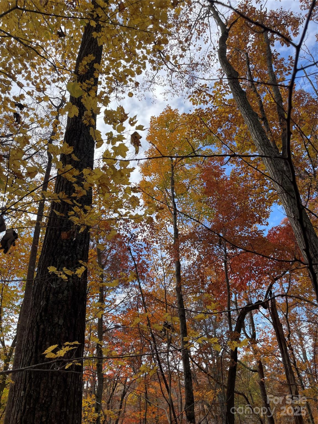 V/L Lot 72 & 170 Black Lark Drive - Photo 33