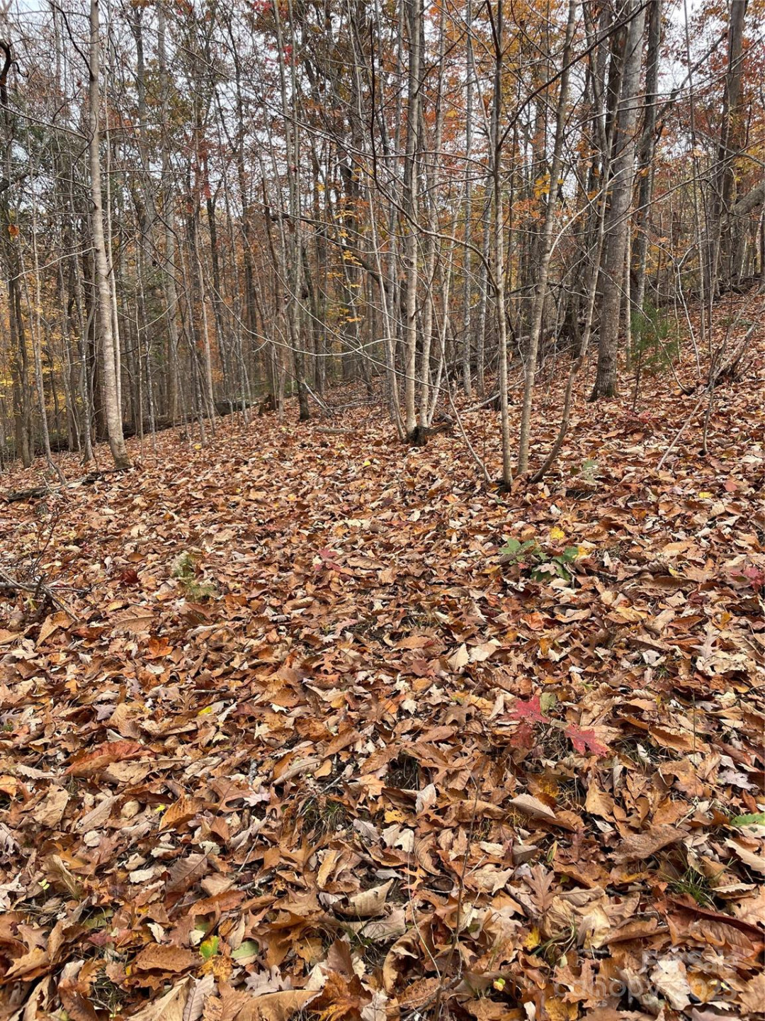 V/L Lot 72 & 170 Black Lark Drive - Photo 34