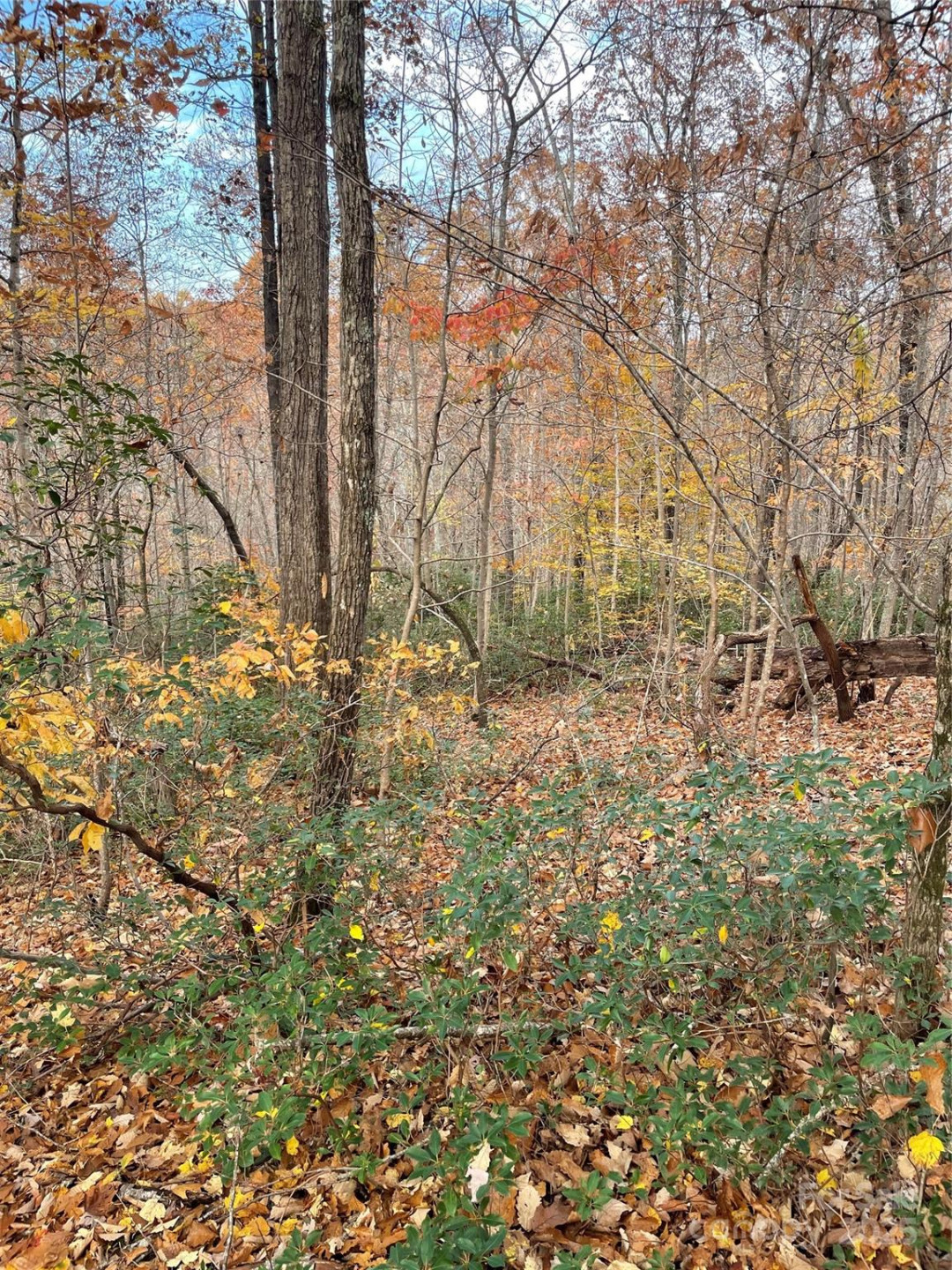 V/L Lot 72 & 170 Black Lark Drive - Photo 36