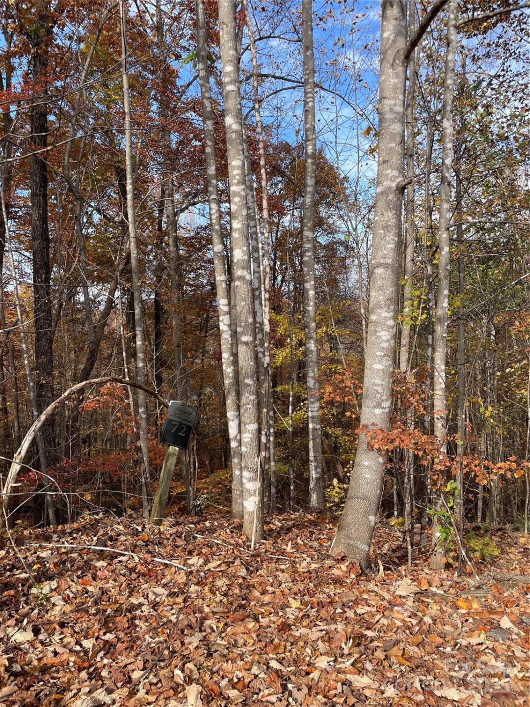 V/L Lot 72 & 170 Black Lark Drive - Photo 37