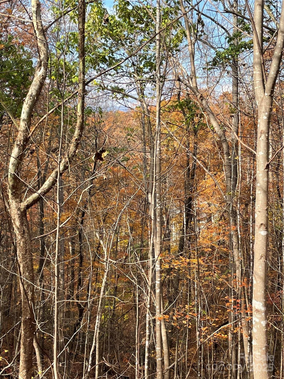 V/L Lot 72 & 170 Black Lark Drive - Photo 40