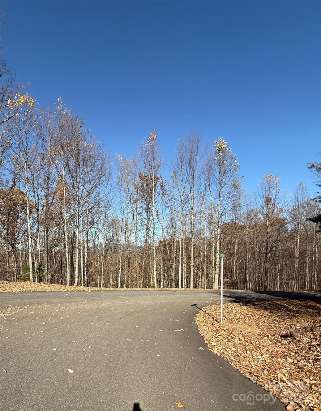 V/L Lot 72 & 170 Black Lark Drive - Photo 5