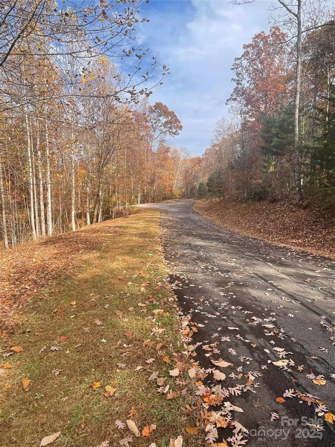 V/L Lot 72 & 170 Black Lark Drive - Photo 41