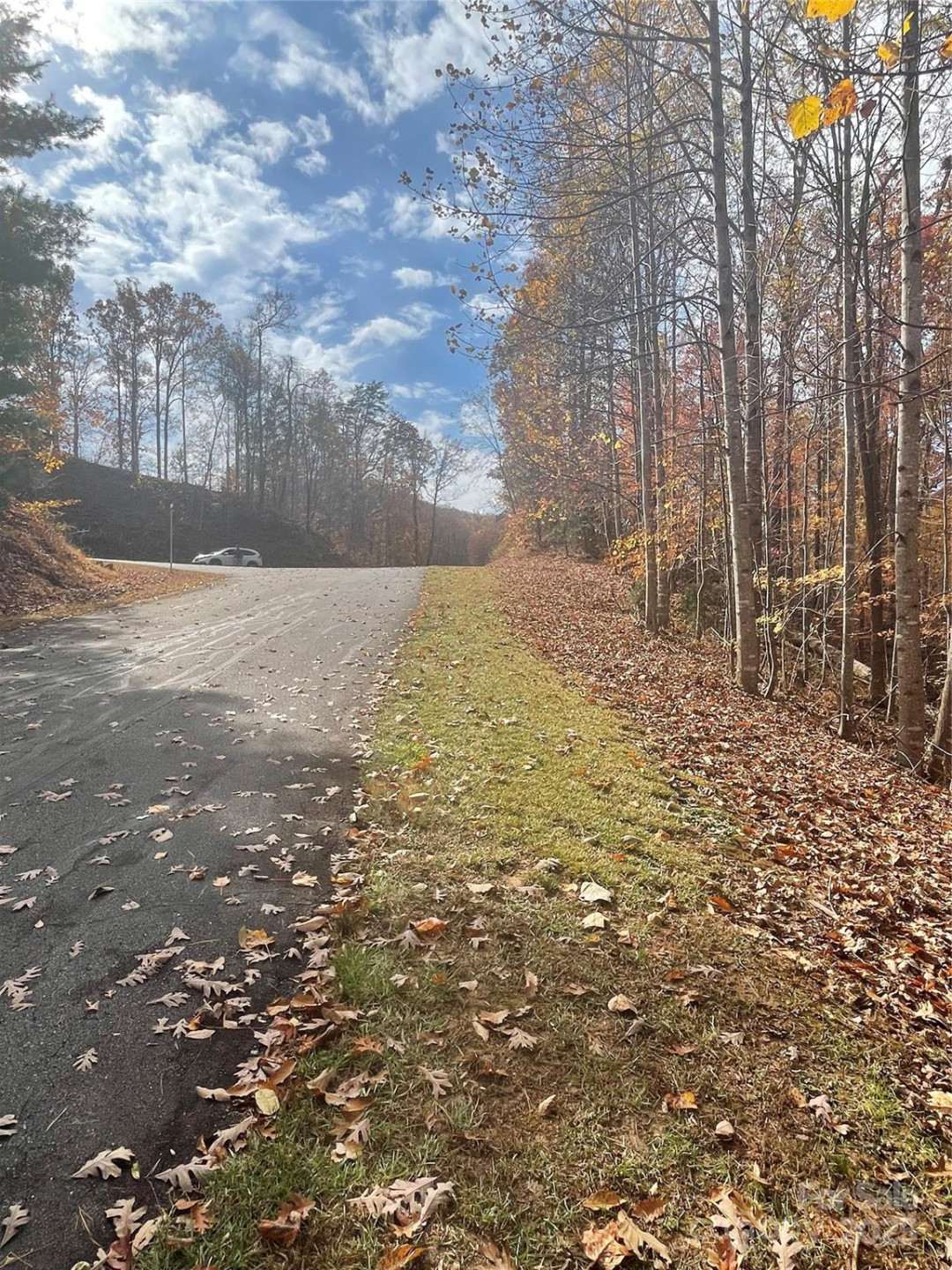 V/L Lot 72 & 170 Black Lark Drive - Photo 42