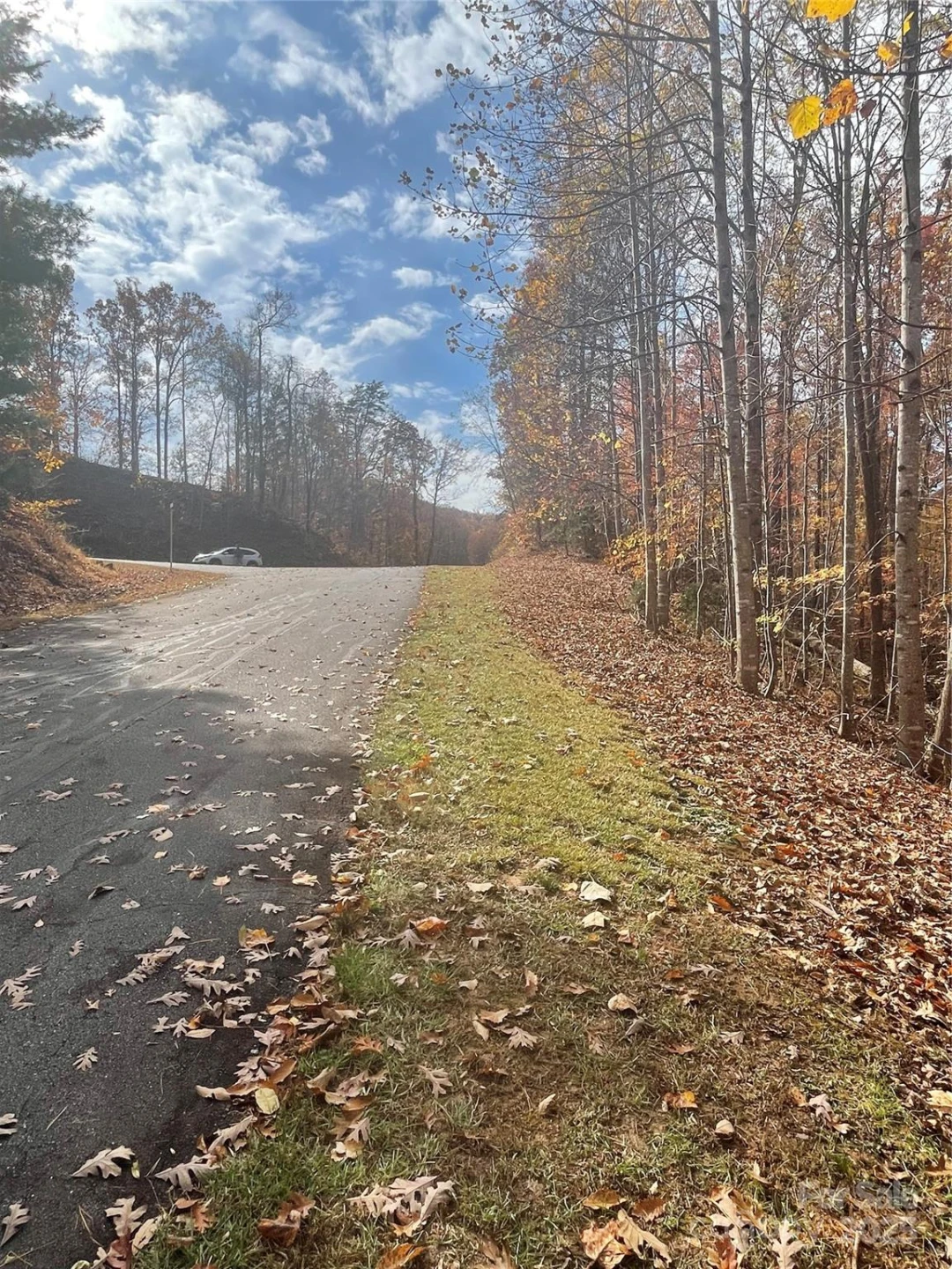 V/L Lot 72 & 170 Black Lark Drive - Photo 42