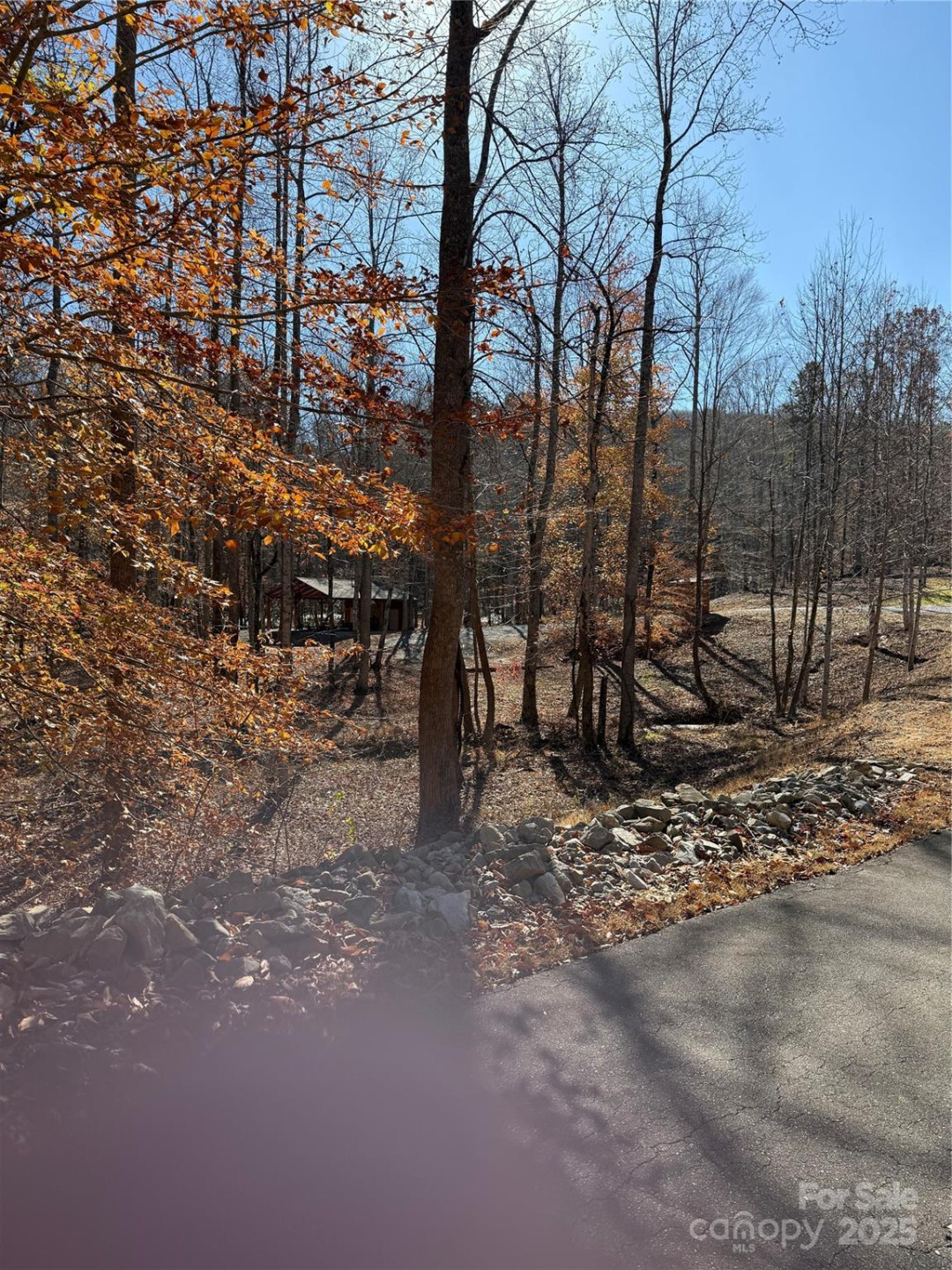 V/L Lot 72 & 170 Black Lark Drive - Photo 44